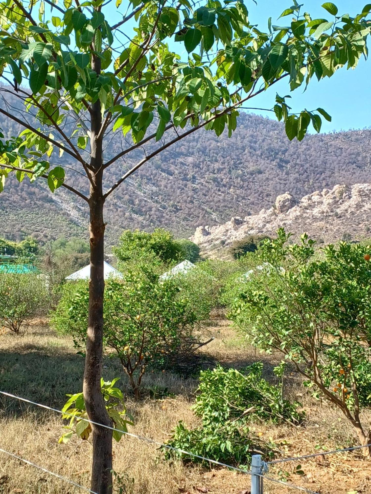 Shivir Aranya - Wilderness Resort Alwar Ngoại thất bức ảnh