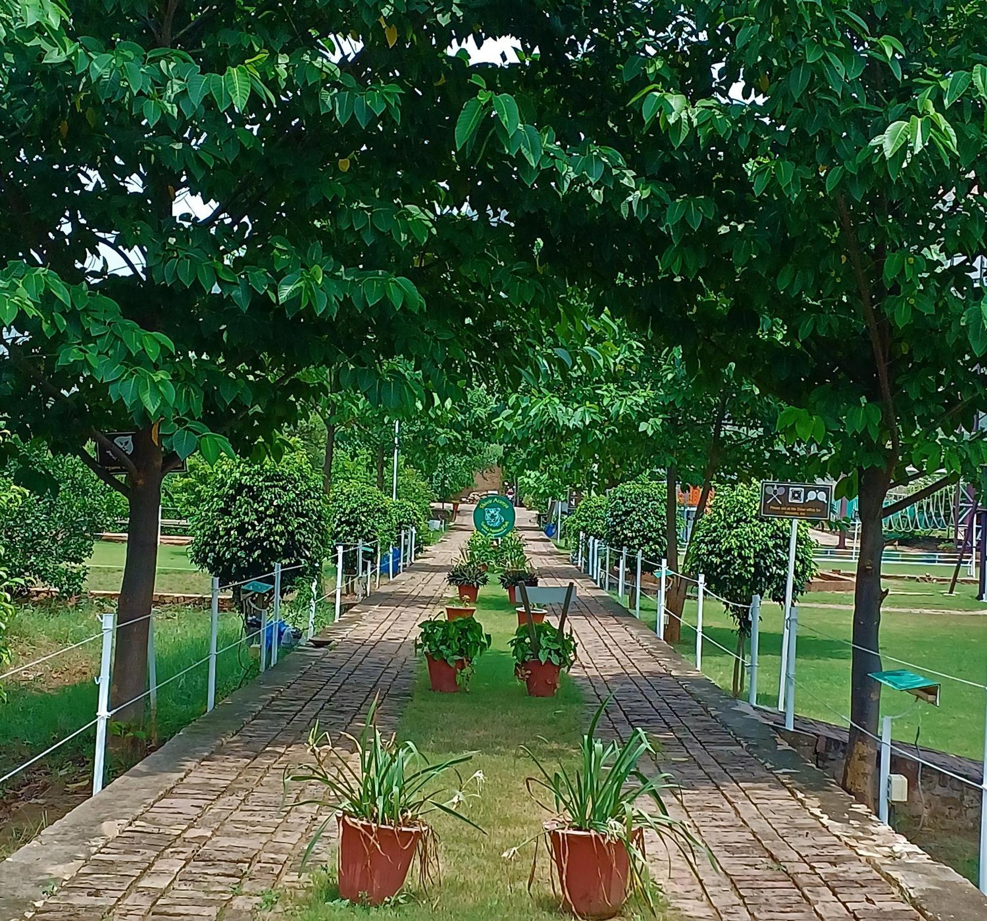 Shivir Aranya - Wilderness Resort Alwar Ngoại thất bức ảnh